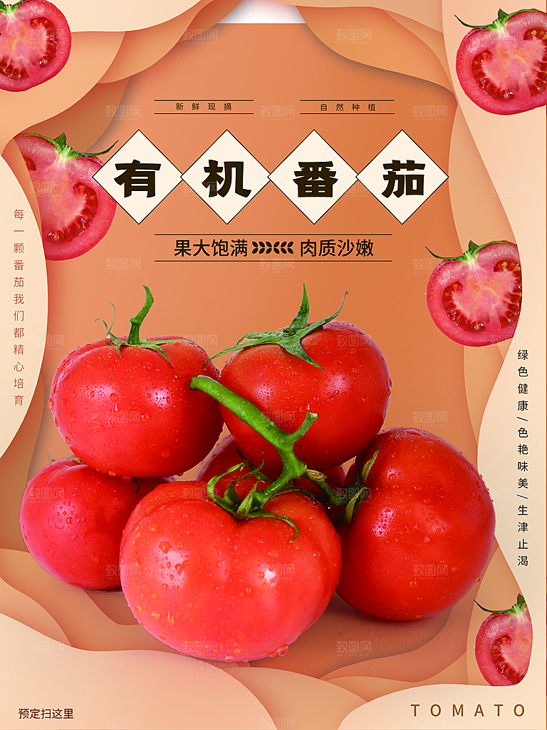 西红柿海报设计素材