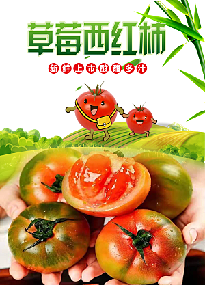 西红柿海报设计素材