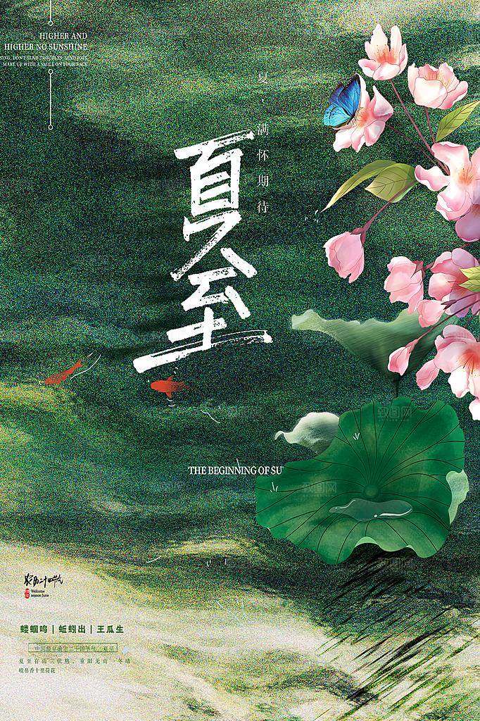 中国传统节气夏至海报模板