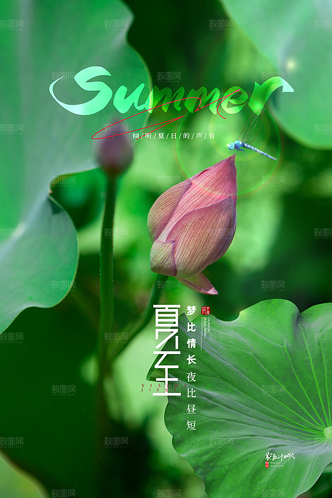 中国传统节气夏至海报模板