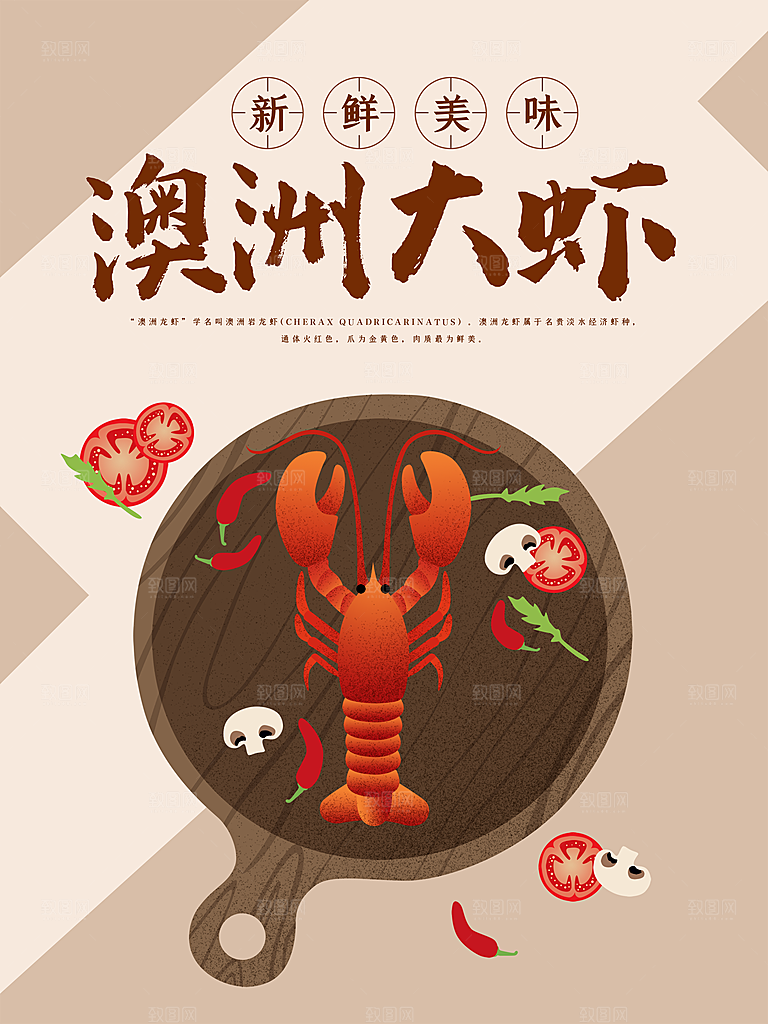 新鲜美味澳洲大龙虾