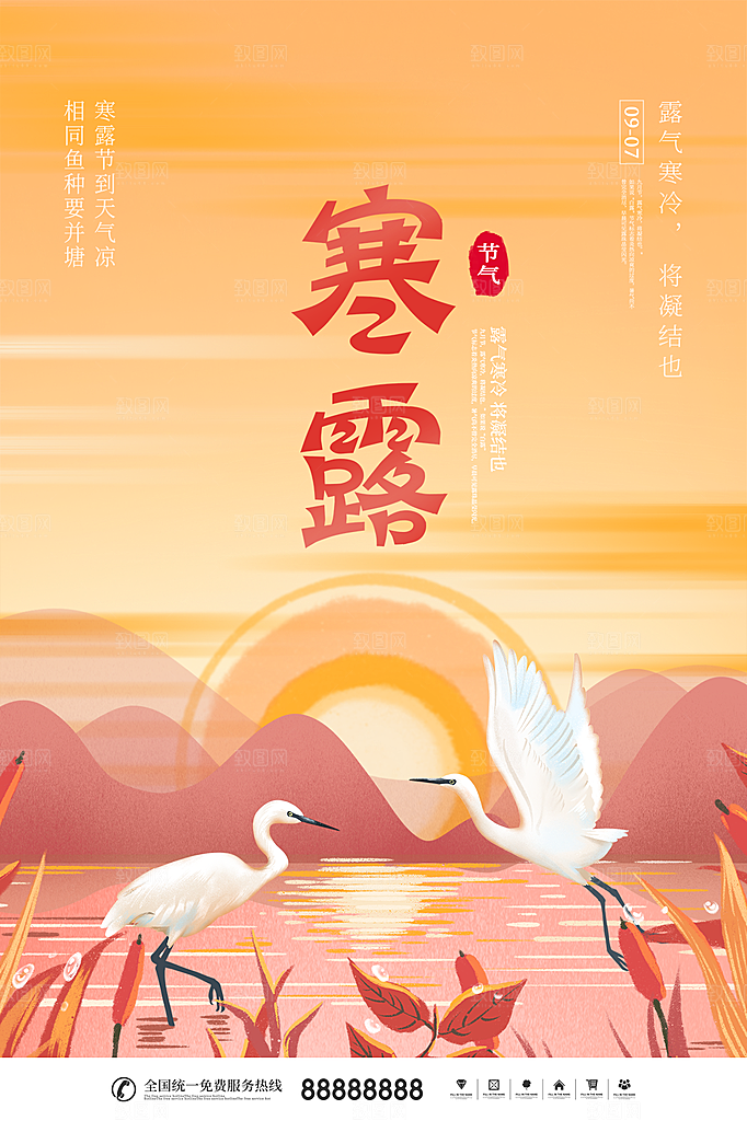 寒露节气简约大气海报