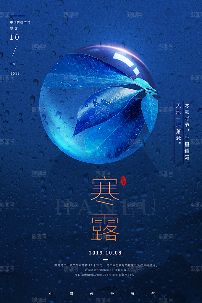 寒露节气简约大气海报