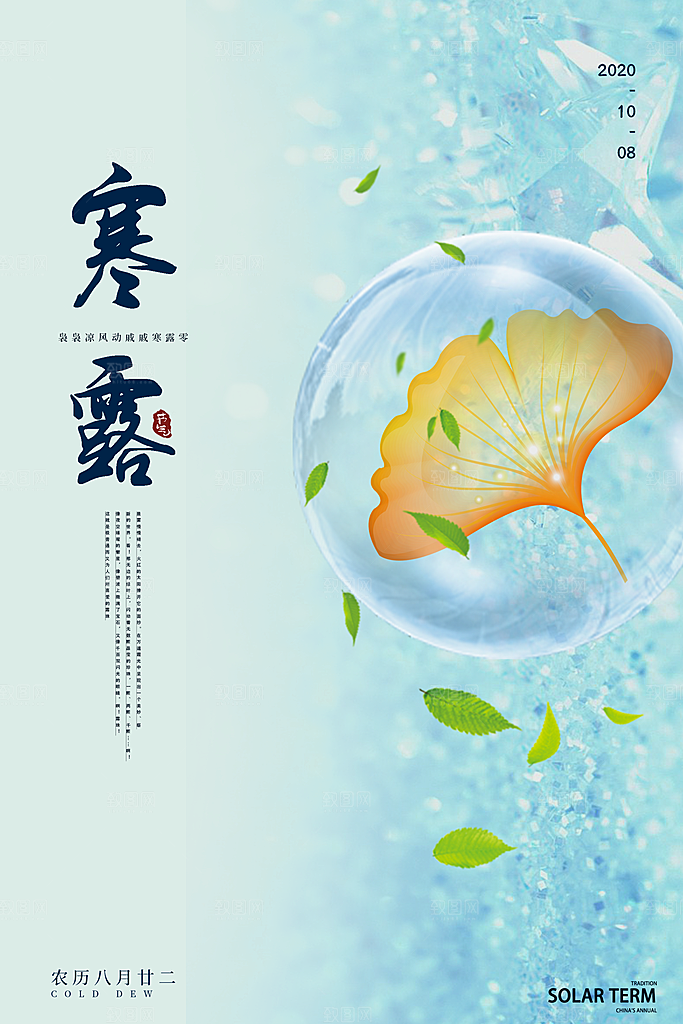 寒露节气简约大气海报