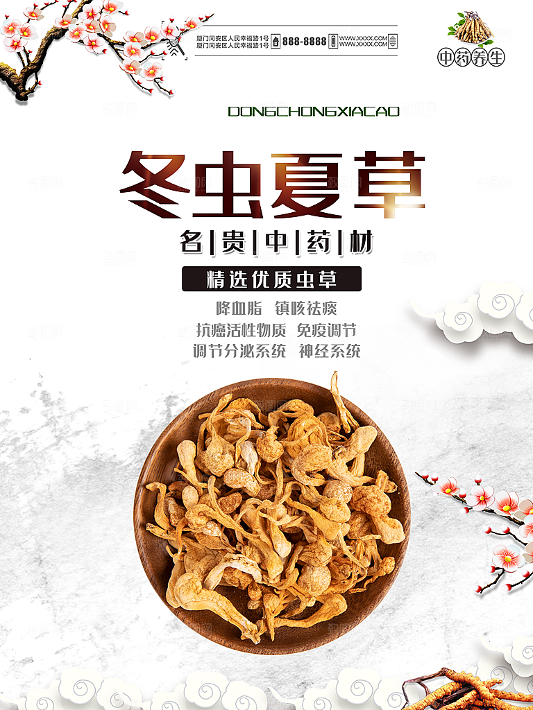 名贵中药材冬虫夏草