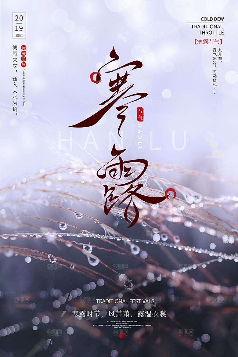 寒露节气简约大气海报