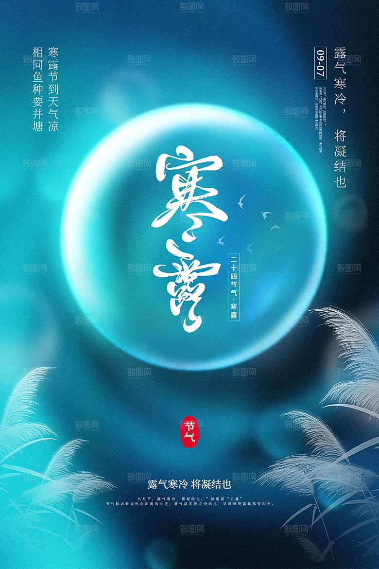 寒露节气简约大气海报