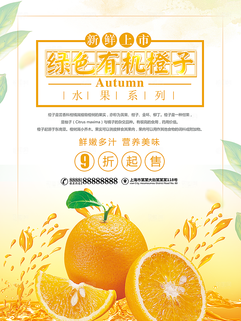 绿色有机橙子新鲜上市