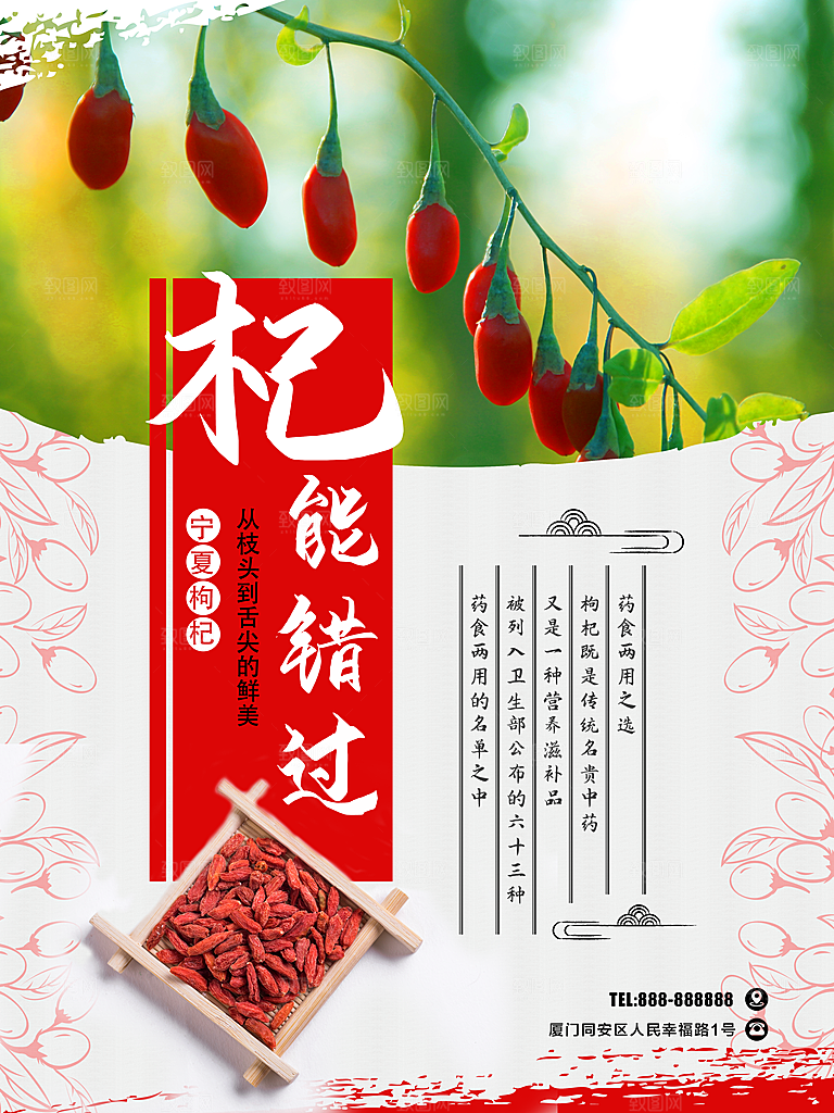 健康营养宁夏枸杞