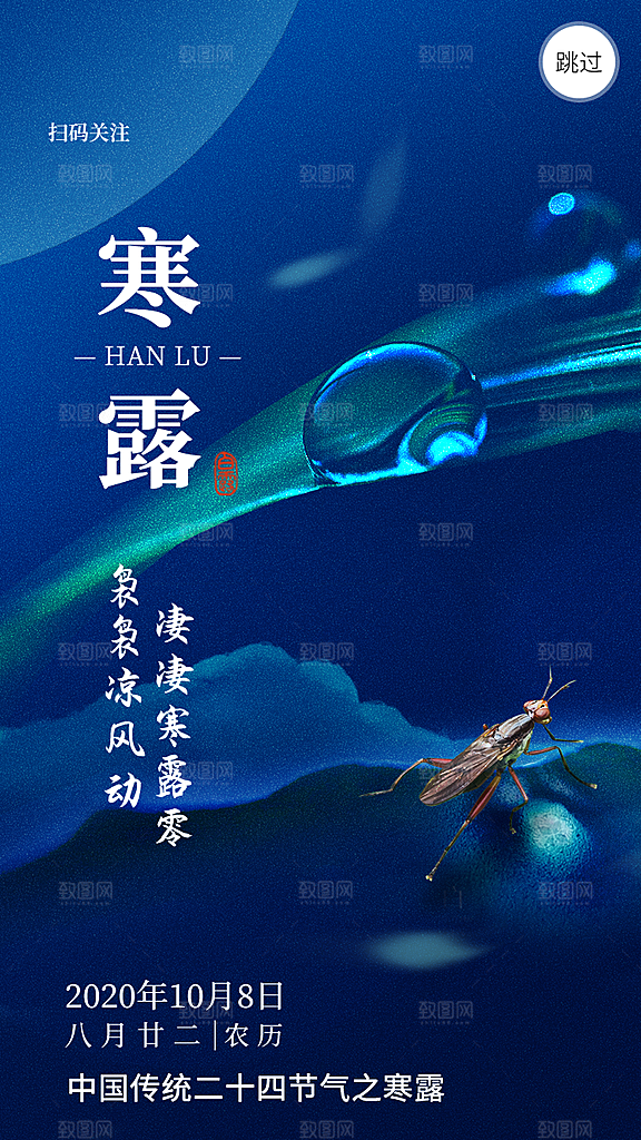 寒露节气简约大气海报