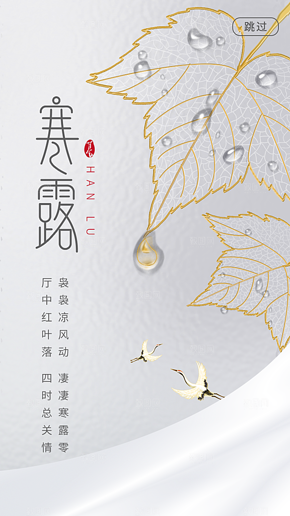 寒露节气简约大气海报
