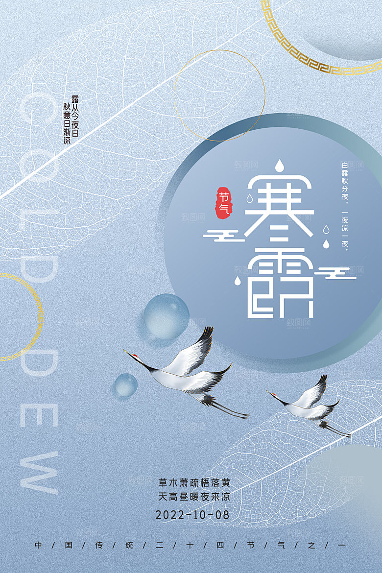 寒露节气简约大气海报