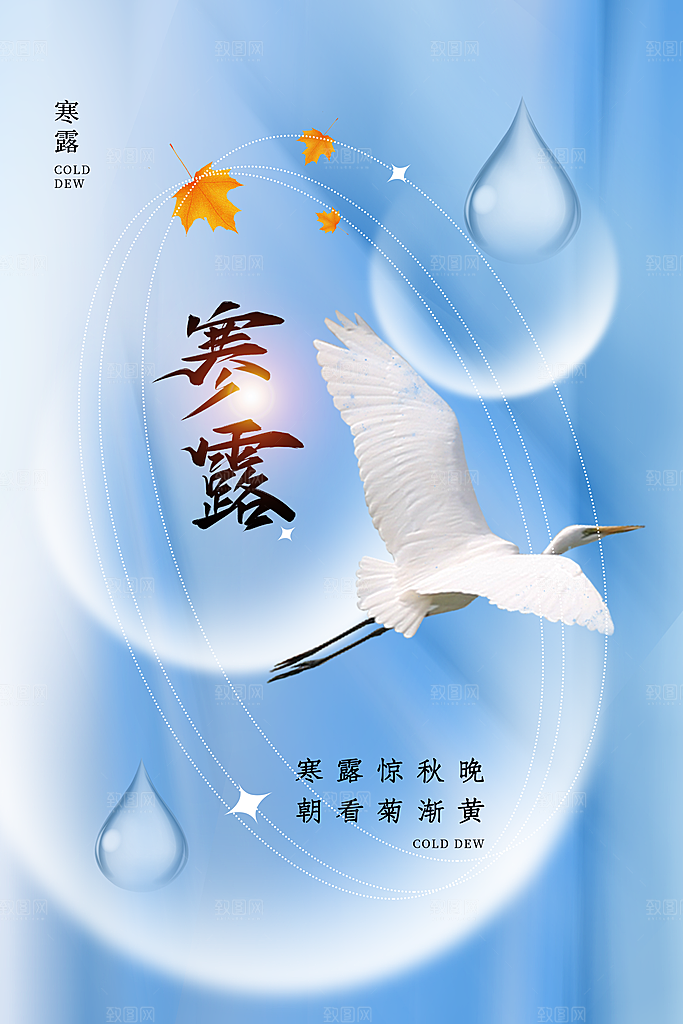 寒露节气简约大气海报