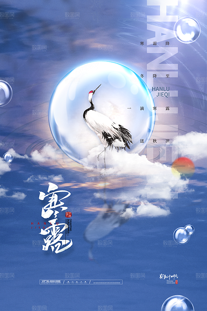 寒露节气简约大气海报