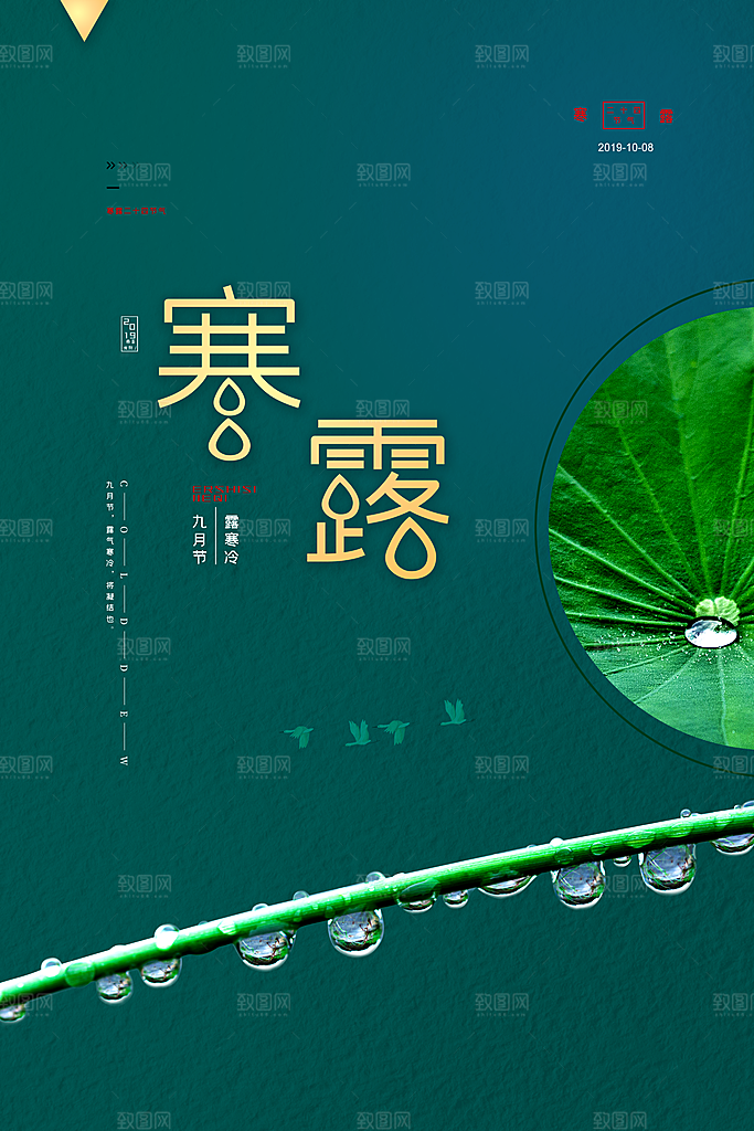 寒露节气简约大气海报