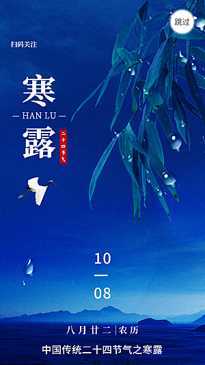 寒露节气简约大气海报