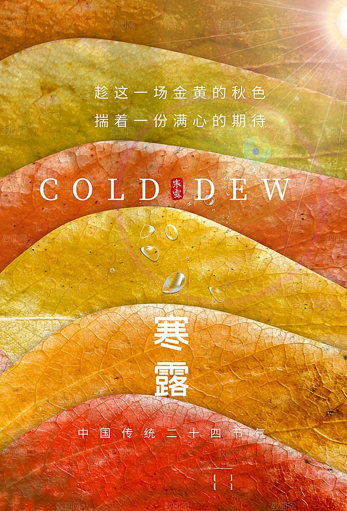 传统二十四节气寒露海报模版