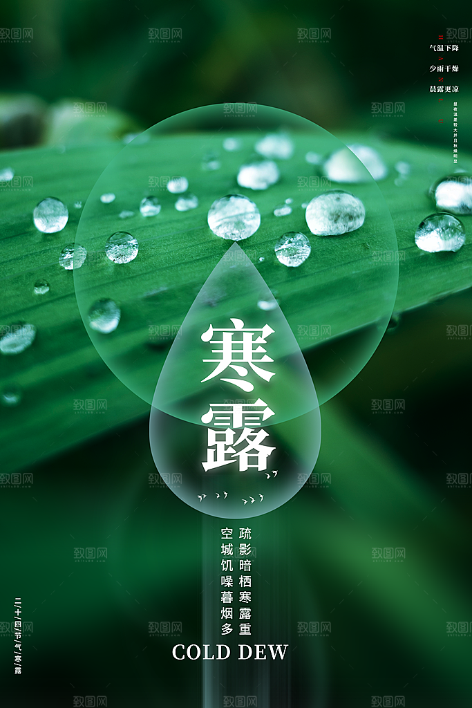 传统二十四节气寒露海报模版