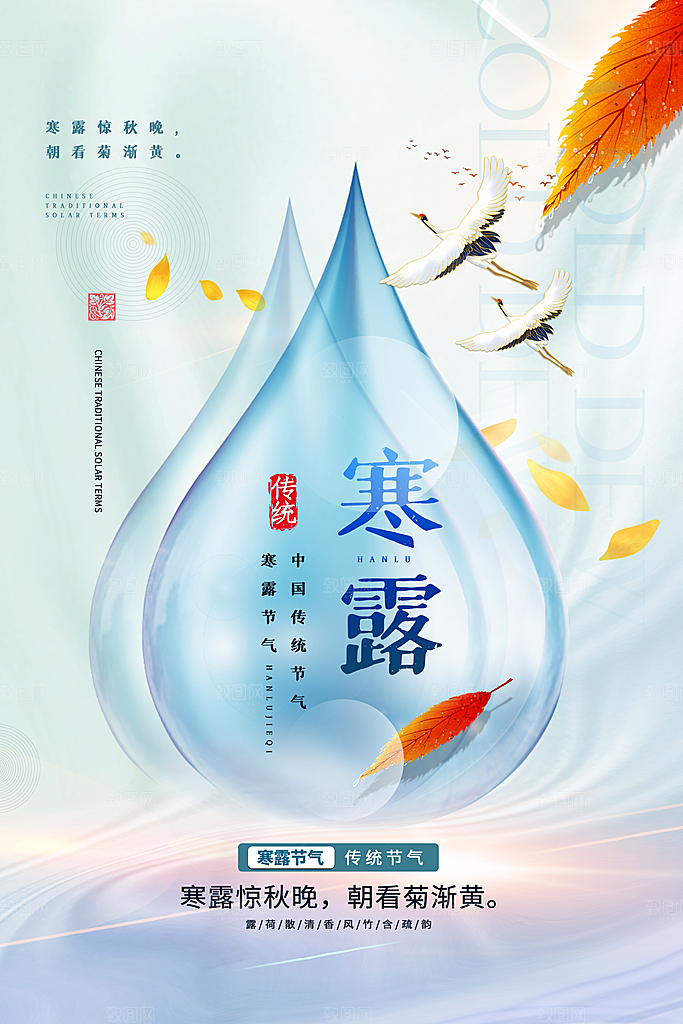 寒露节气简约大气海报
