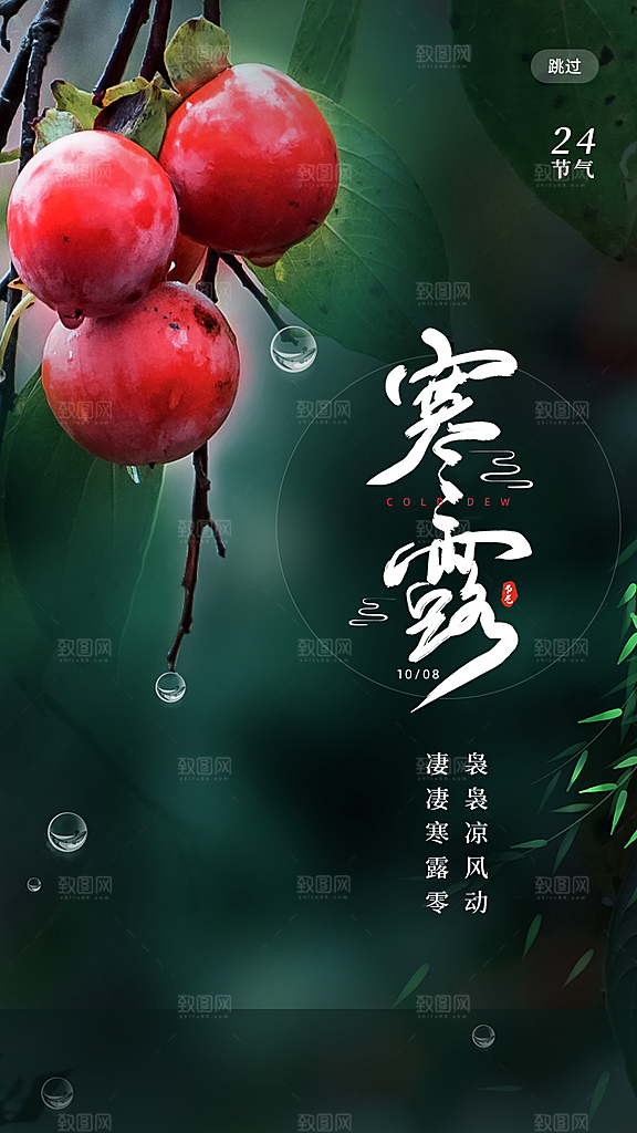 传统二十四节气寒露海报模版