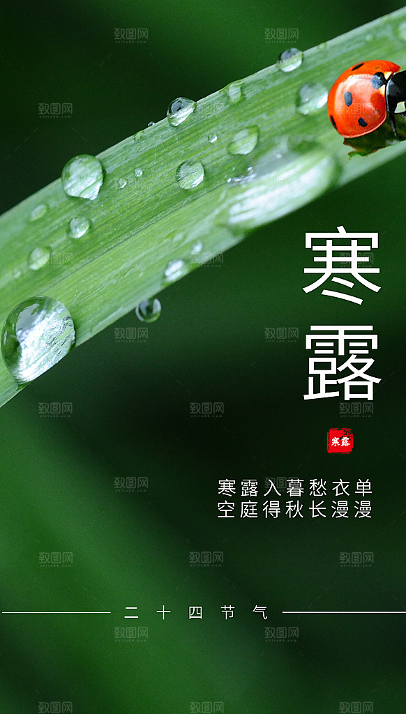 传统二十四节气寒露海报模版