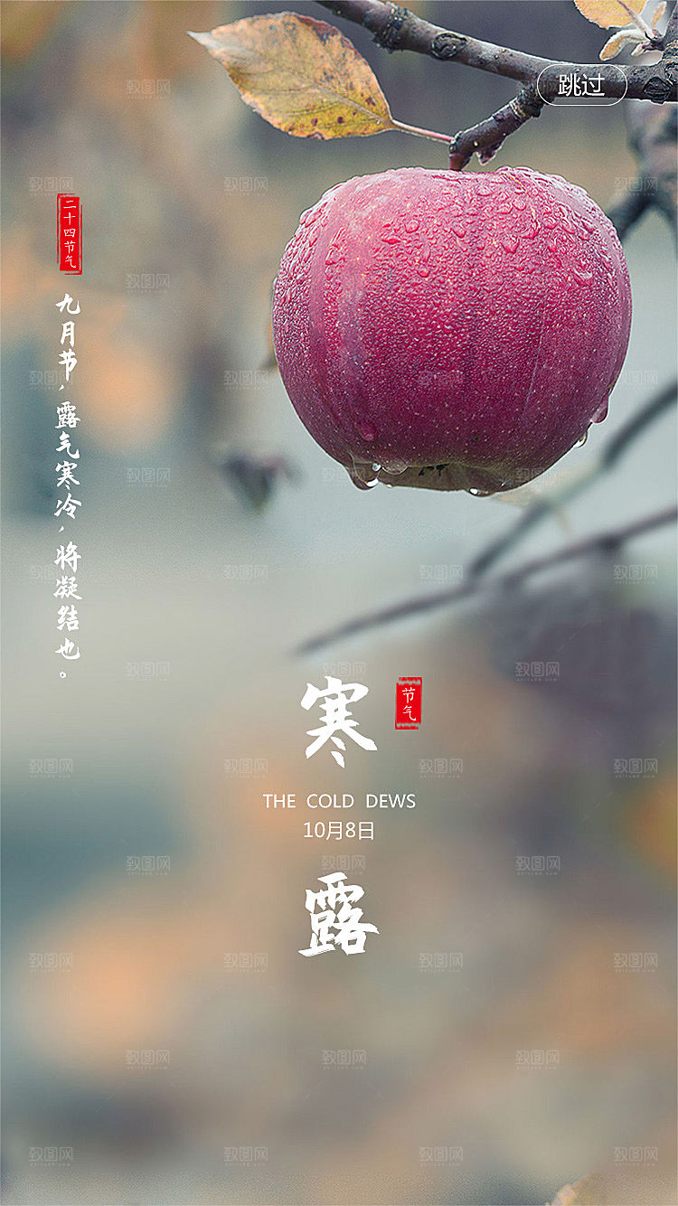 传统二十四节气寒露海报模版