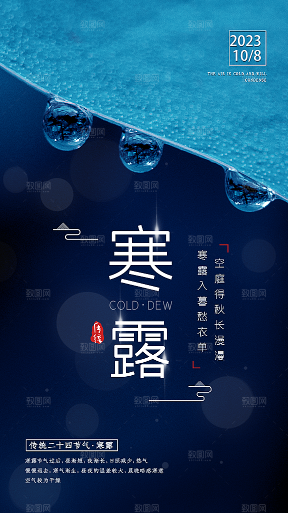 寒露节气简约大气海报