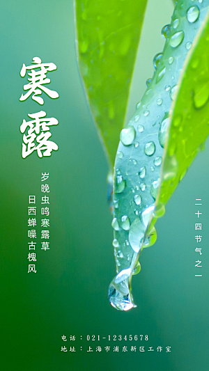 寒露节气简约大气海报