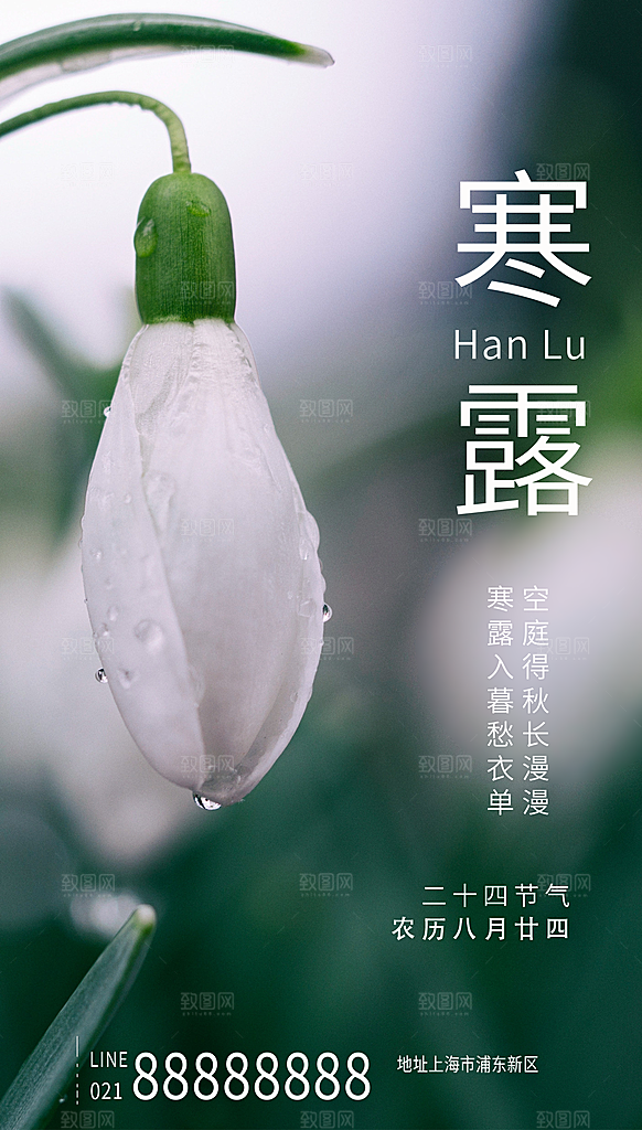 寒露节气简约大气海报