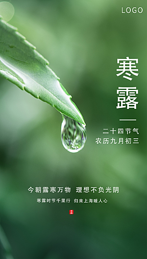 寒露节气简约大气海报