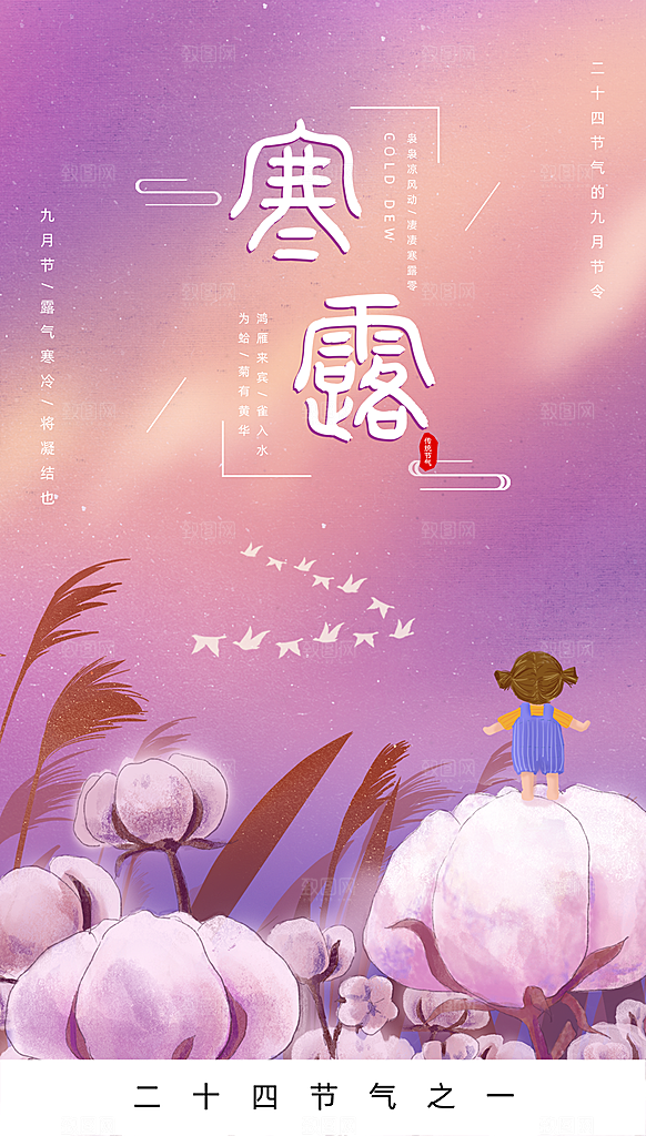 寒露节气简约大气海报