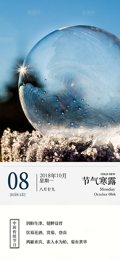 传统二十四节气寒露海报模版
