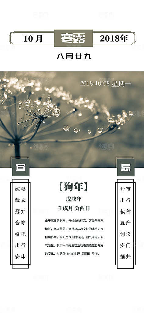 传统二十四节气寒露海报模版