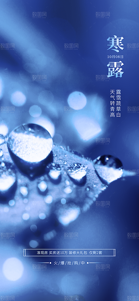 传统二十四节气寒露海报模版