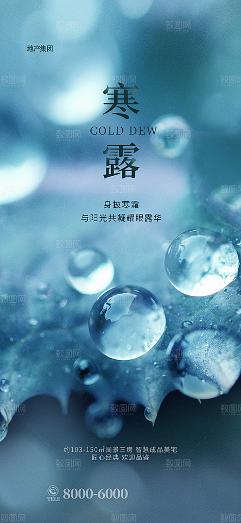 寒露节气简约大气海报
