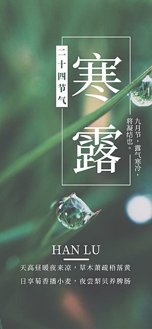 传统二十四节气寒露海报模版