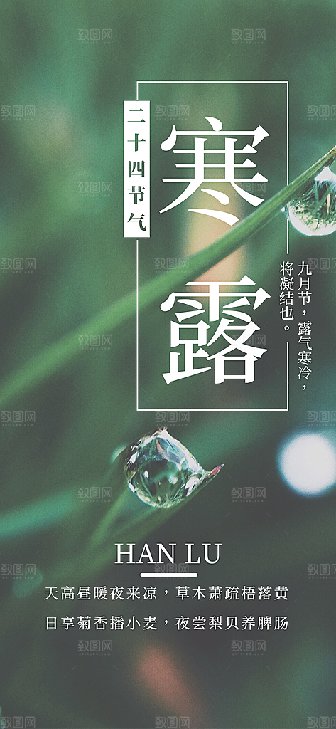 传统二十四节气寒露海报模版