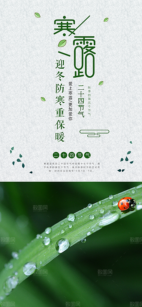 传统二十四节气寒露海报模版