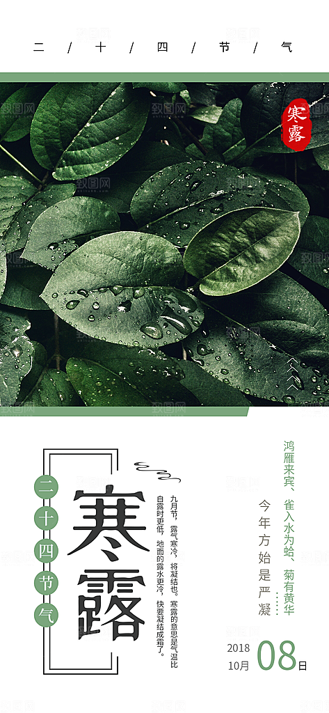 寒露节气简约大气海报