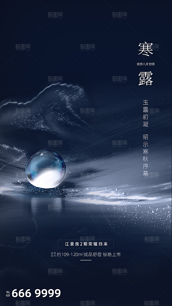 寒露节气简约大气海报