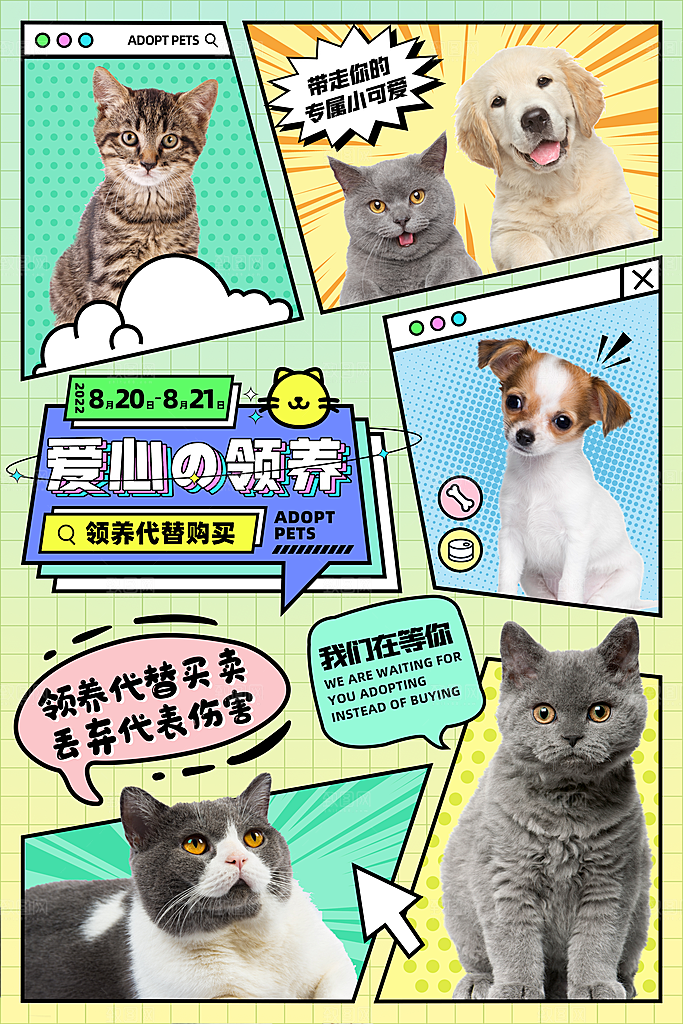 宠物领养公益海报