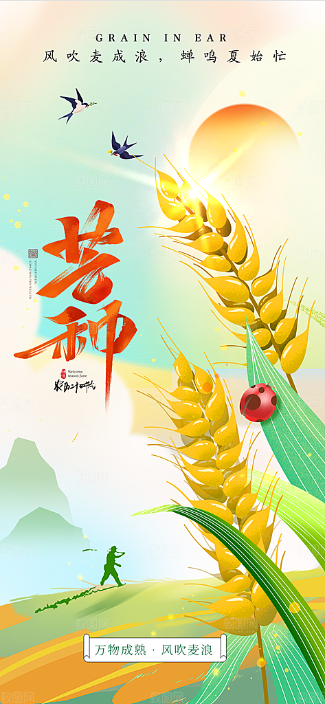 芒种节气麦子插画海报
