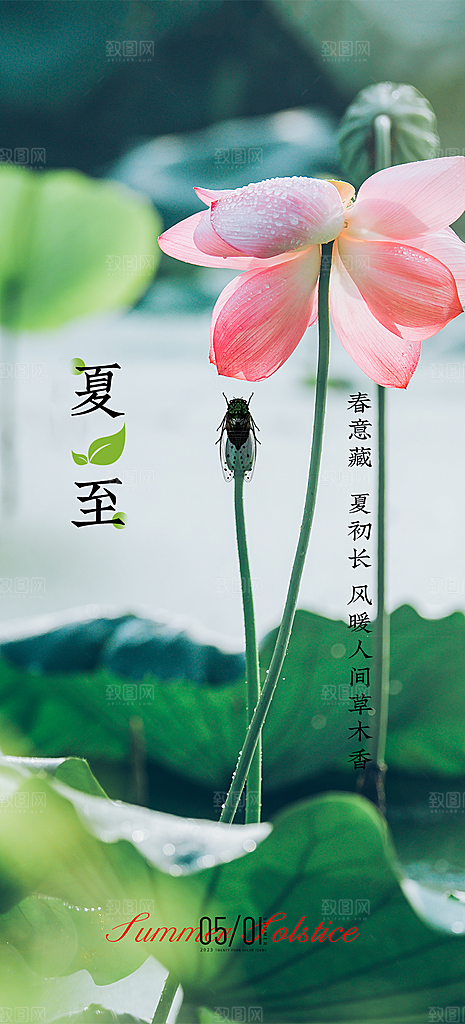 夏至节气宣传海报设计素材
