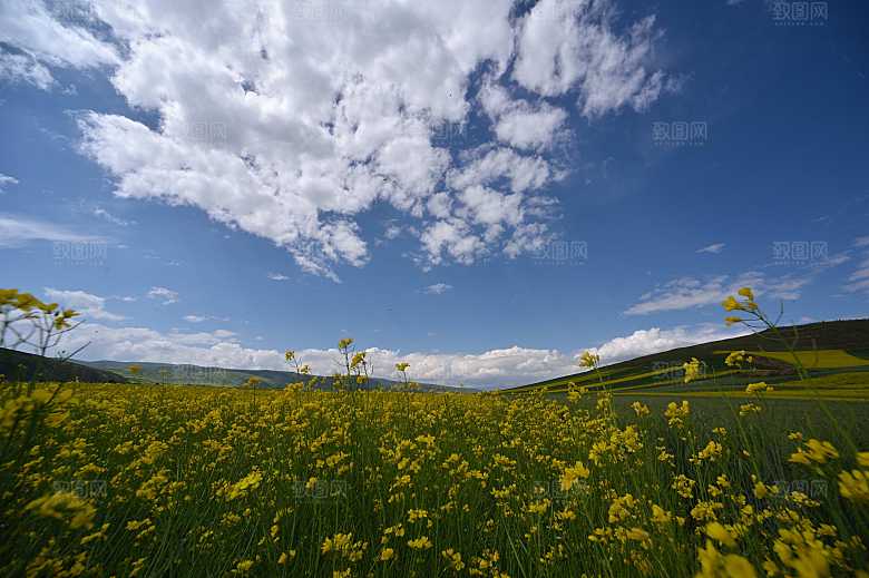 蓝天白云草地天空