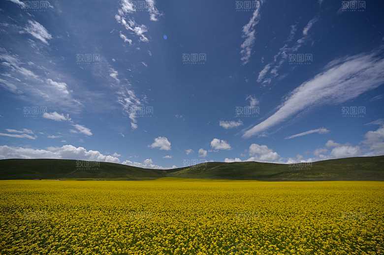 蓝天白云草地天空