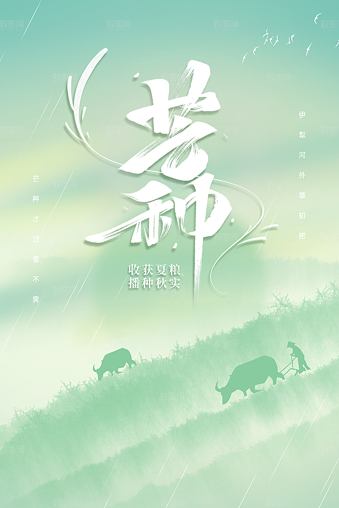 芒种节气传统活动海报