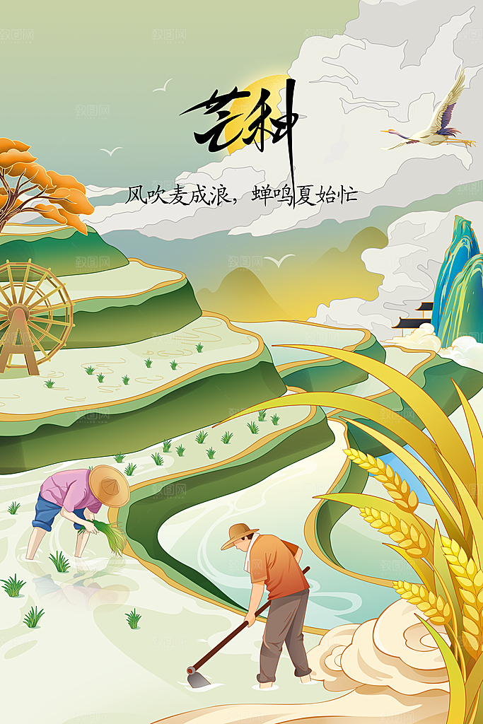 芒种节气传统活动海报