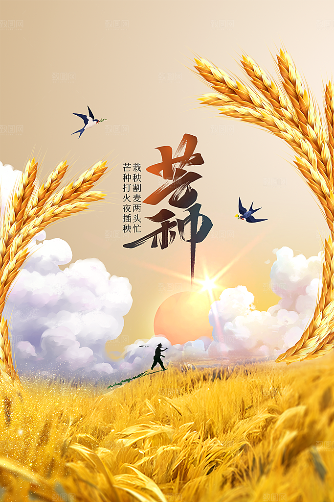 芒种节气传统活动海报