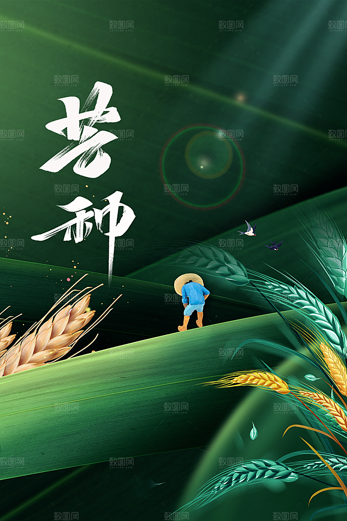 芒种节气传统活动海报