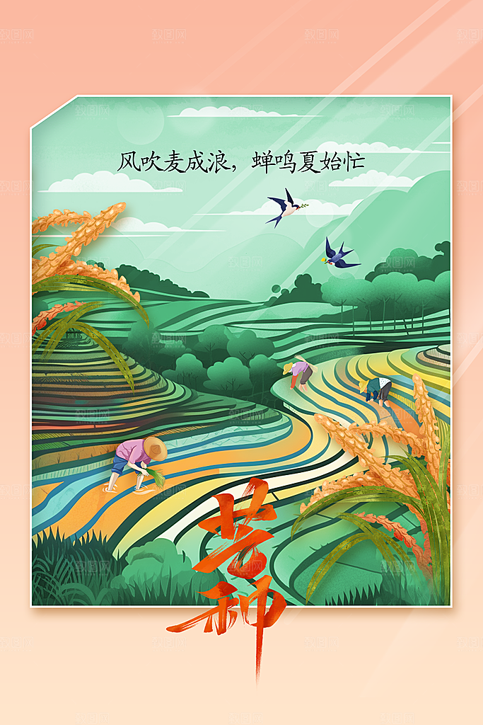 芒种节气传统活动海报